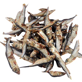 Fisch Sprotten 100g